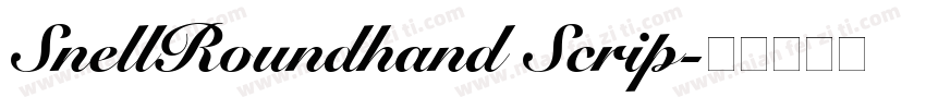 SnellRoundhand Scrip字体转换